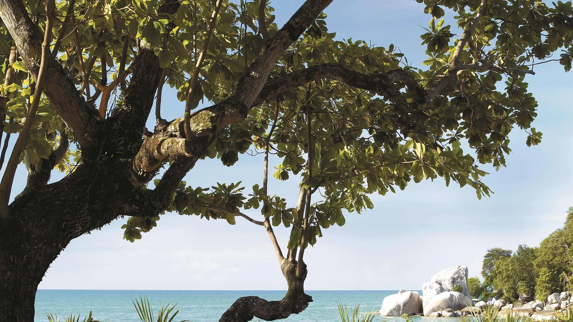 ***** Resort Shangri-La Rasa Sayang, Penang Batu Ferringhi Malaysia